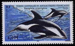 138 440 2006 dauphin